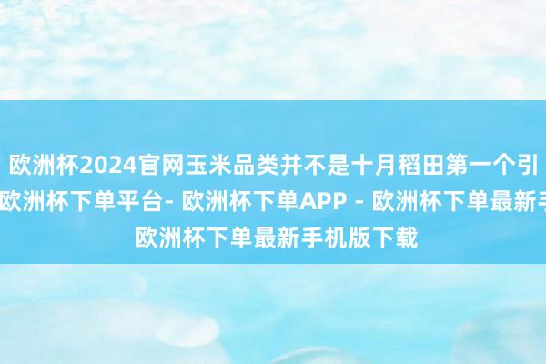 欧洲杯2024官网玉米品类并不是十月稻田第一个引爆的品类-欧洲杯下单平台- 欧洲杯下单APP - 欧洲杯下单最新手机版下载